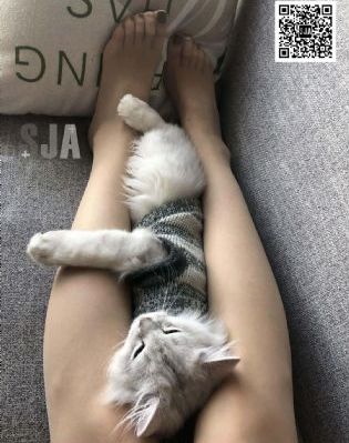 毒液二普通话版