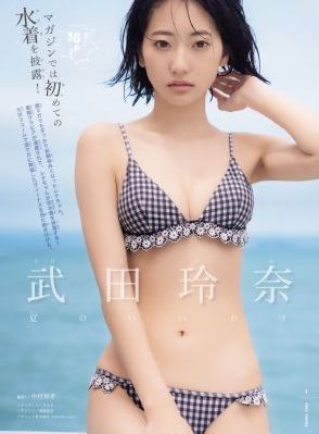 潜伏40集在线播放免费观看高清