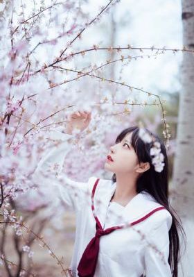 玩具总动员4